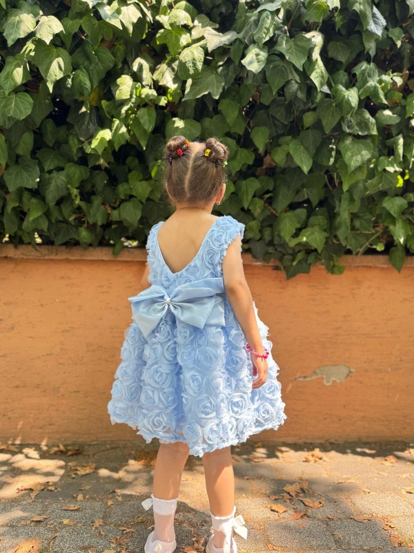 Kız Bebek Kız Çocuk Kısa Kollu Güllü Sırt Detay Fiyonklu Özel Gün Doğum Günü Parti Düğün Elbise - MAVİ